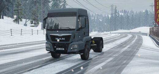 BeamNG MAN TGS Truck (0.38)